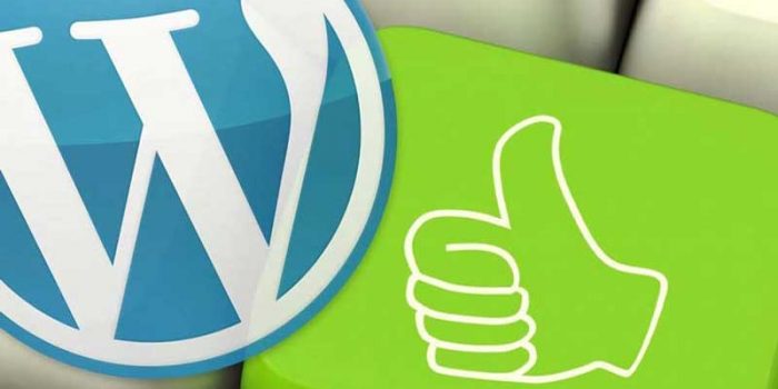 i recommend wordpress